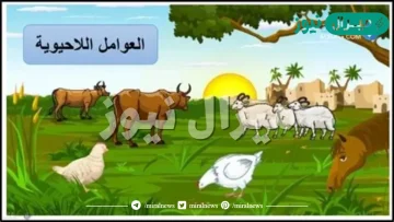 كيف تؤثر العوامل اللاحيوية في المواطن البيئية؟