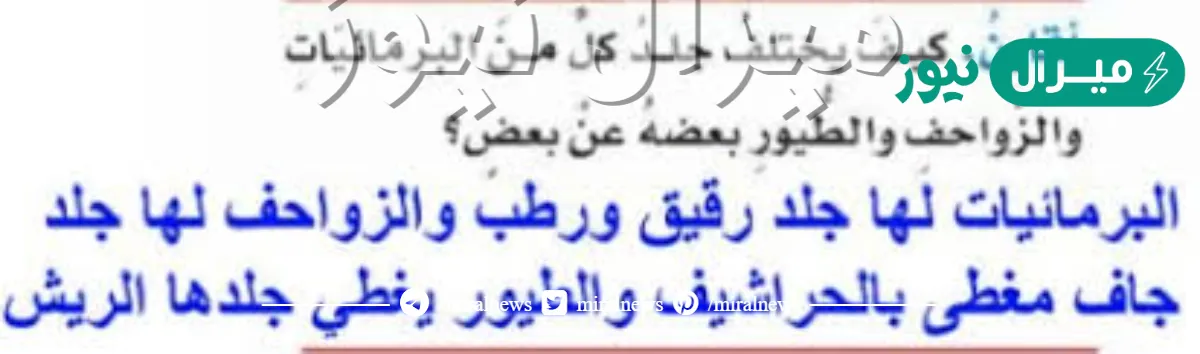 كيف يختلف جلد كل من البرمائيات والزواحف