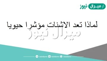 لماذا تعد الاشنات مؤشرا حيويا