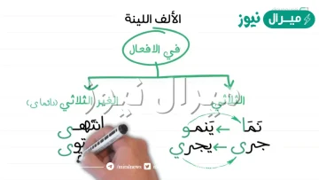 لماذا سميت الألف اللينة بهذا الاسم