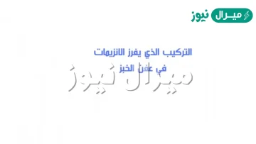 ما التركيب الذي يفرز الانزيمات في عفن الخبز ؟