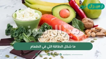 ما شكل الطاقة التي توجد في الطعام؟