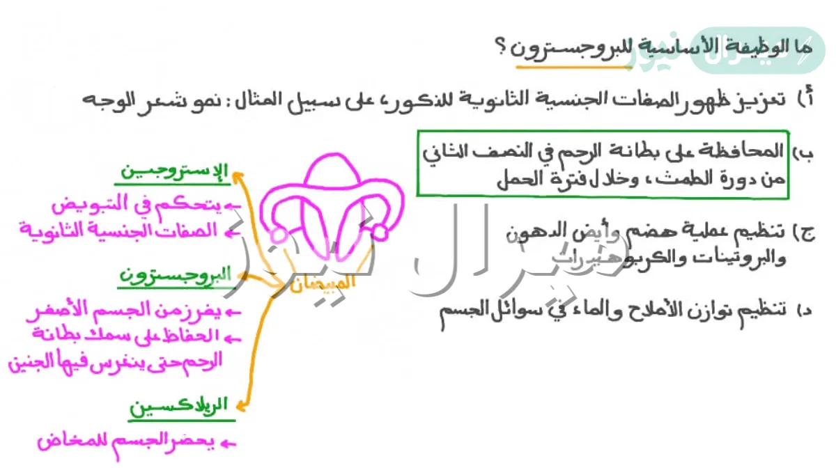 ما هو هرمون البروجسترون