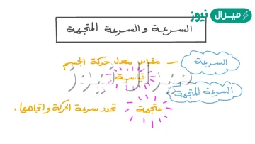 ماذا تحدد السرعة المتجهة