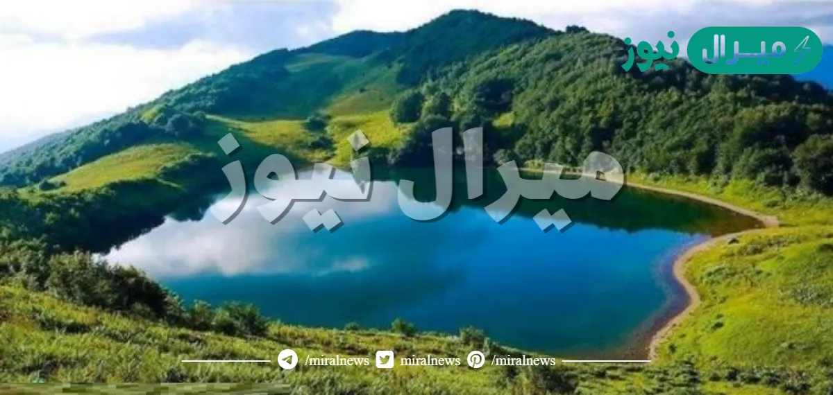 ماذا تعد كل من البحيرة والنهر والغابة