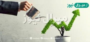 ماذا تعرف عن المبيعات