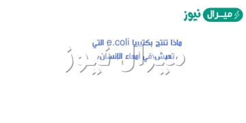 ماذا تنتج بكتيريا e.coli التي تعيش في أمعاء الإنسان