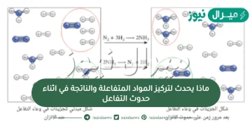 ماذا يحدث لتركيز المواد المتفاعلة والناتجة في اثناء حدوث التفاعل