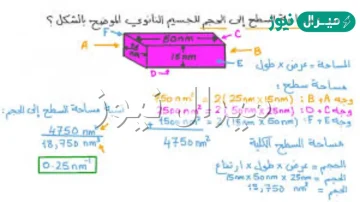 ماذا يحدث لنسبة مساحة سطح الخلية كلما زاد حجم الخلية