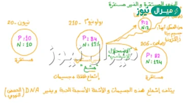 ماذا يصدر العنصر المشبع