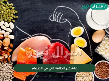 ماشكل الطاقة التي في الطعام