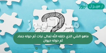 ماهو الشي الذي خلقه الله تعالى نبات ثم حوله جماد ثم حوله حيوان