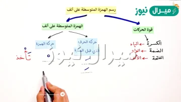 متى تكتب الهمزة المتوسطة على الالف