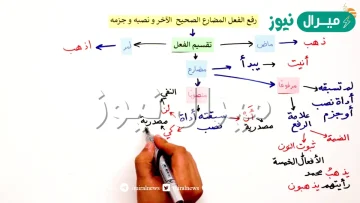 متى يرفع الفعل المضارع