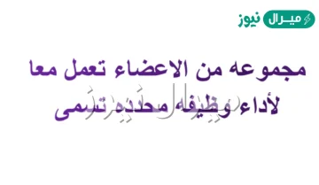 مجموعه الاعضاء التي تعمل معا لاداء وظيفه معينه في الجسم تسمى