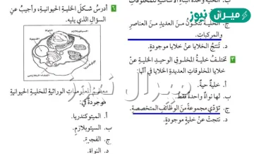 معظم المعلومات الوراثية للخلية الحيوانية موجودة في