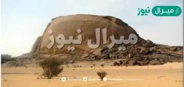 من أمثلة الهضاب في المملكة العربية السعودية