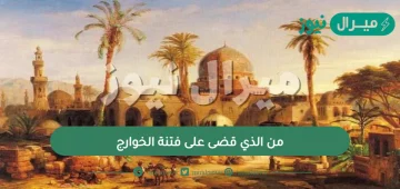 من الذي قضى على فتنة الخوارج