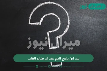 من اين يخرج الدم بعد ان يغادر القلب