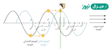 موجات مستعرضة تم التوصل من خلال دراستها إلى معرفة الكثير عن باطن الأرض هي الموجات