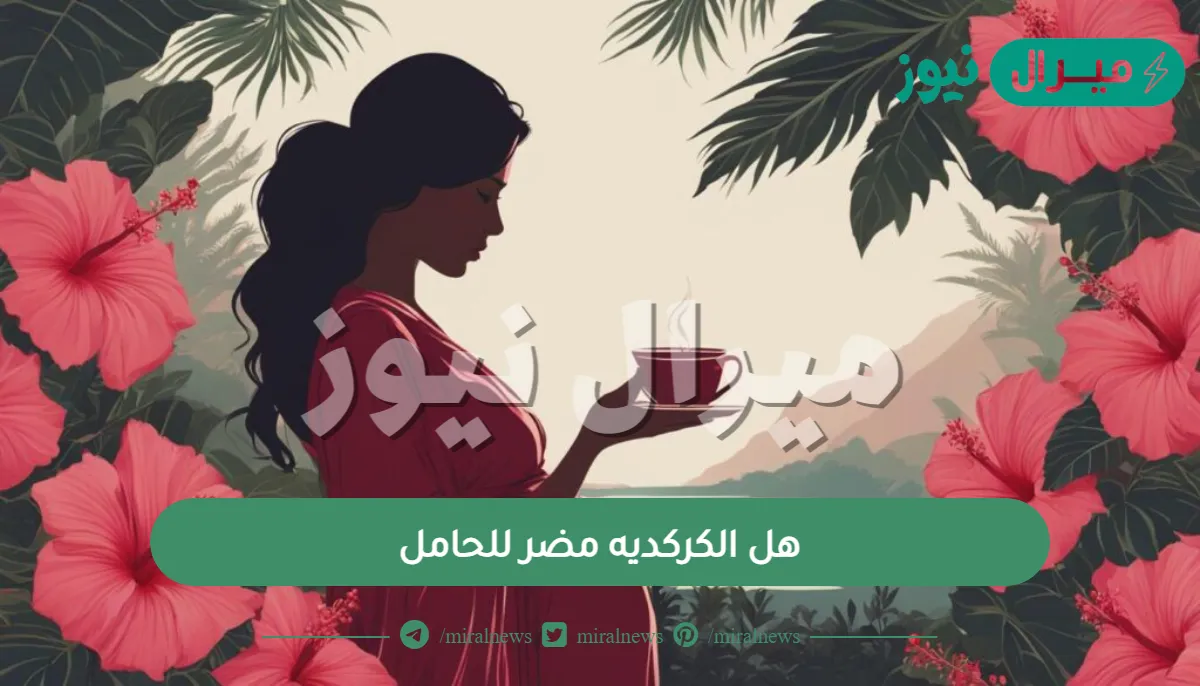 هل الكركديه مضر للحامل