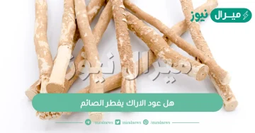 هل عود الاراك يفطر الصائم