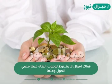 هناك اموال لا يشترط لوجوب الزكاة فيها مضي الحول ومنها