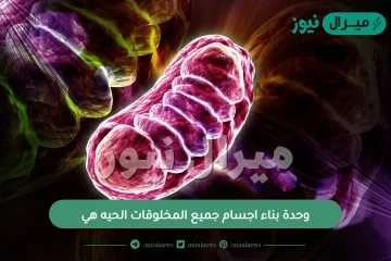 وحدة بناء اجسام جميع المخلوقات الحيه هي؟