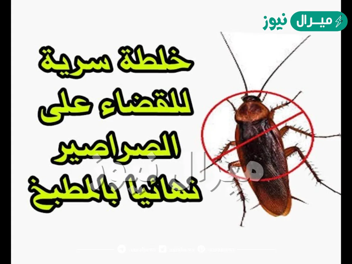 ’’لمنزل نضيف بدون صراصير’’.. ضعي هذا المكون الجبار في أركان المطبخ وستنهي الصراصير والناموس نهائياً