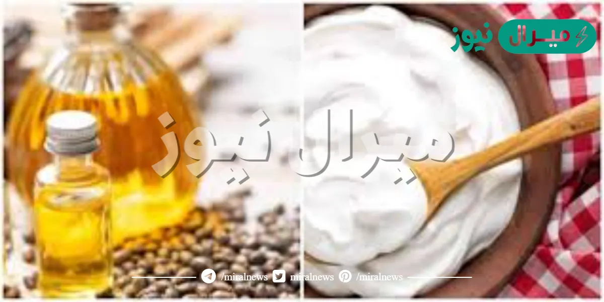 ابهري جوزك في ليلة العمر.. وصفة الزبادي مع زيت الزيتون داخل غرفة النوم ستبهرك