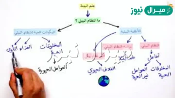 وضح لماذا تعد مفاهيم العوامل المحدده والتحمل مهمه في علم البيئه