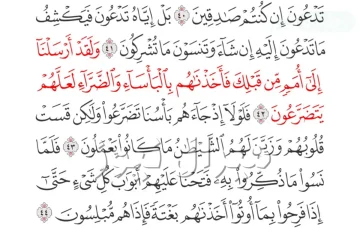 يُستَفاد مِن قَولِ الله تعالى: {وَلَقَدْ أَرْسَلنَآ إِلَى أُمَمٍ مِّن قَبْلِكَ فَأَخَذْنَاهُمْ بِالْبَأْسَاء وَالضَّرَّاء لَعَلَّهُمْ يَتَضَرَّعُونَ} أنَّ الحِكمَة الأساسية مِن الابتِلاء بالبَأساءِ والضَّرَّاءِ هي