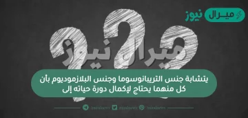 يتشابة جنس التريبانوسوما وجنس البلازموديوم بأن كل منهما يحتاج لإكمال دورة حياته إلى