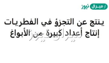 ينتج عن التجزؤ في الفطريات إنتاج أعداد كبيرة من الأبواغ