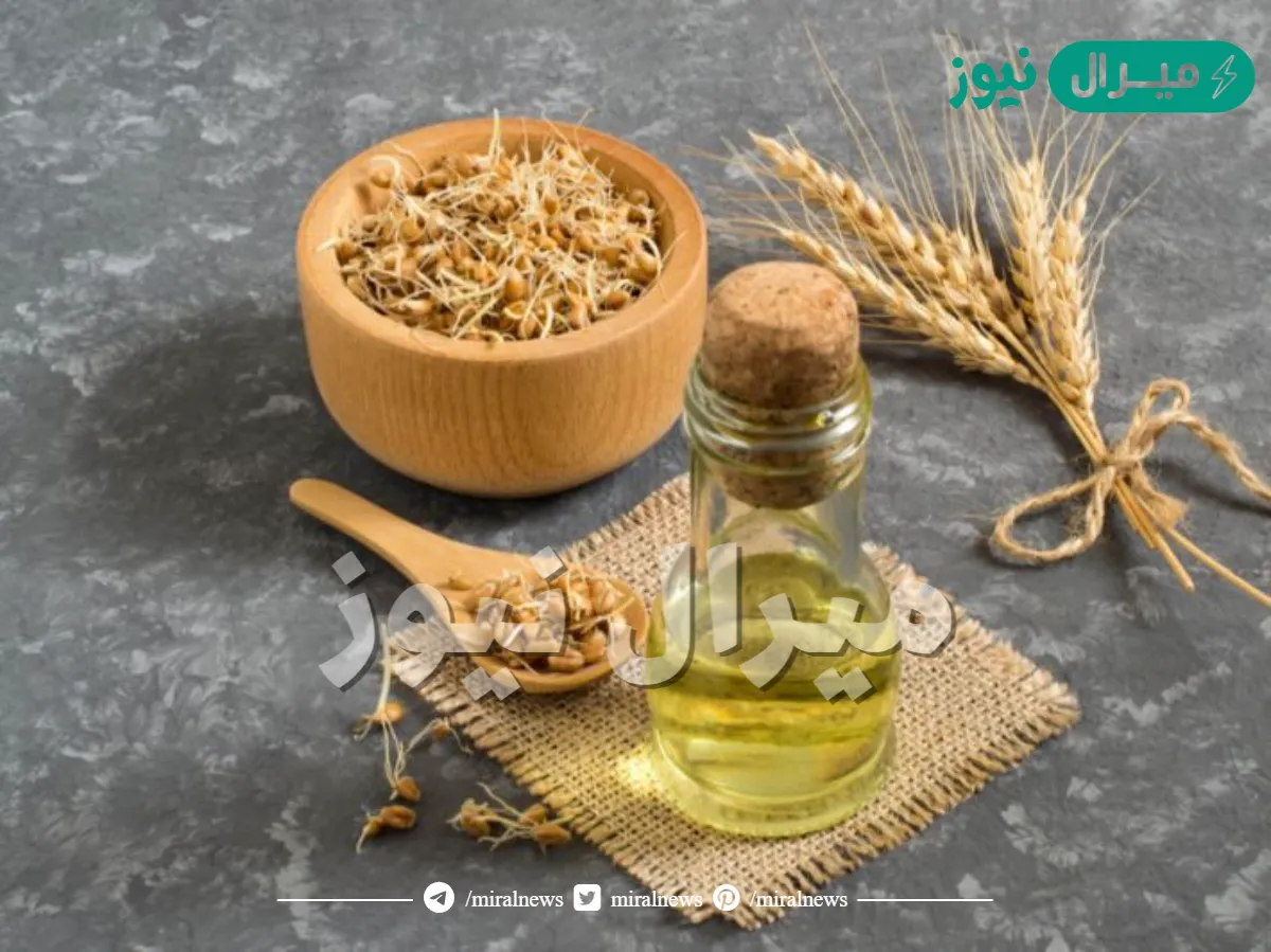 أبرز فوائد زيت جنين القمح واضراره