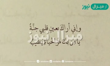 أجمل شعر غزل في الجمال مميز