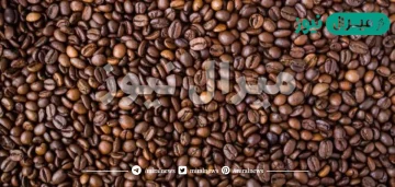اضرار قشر القهوة على جسم الإنسان