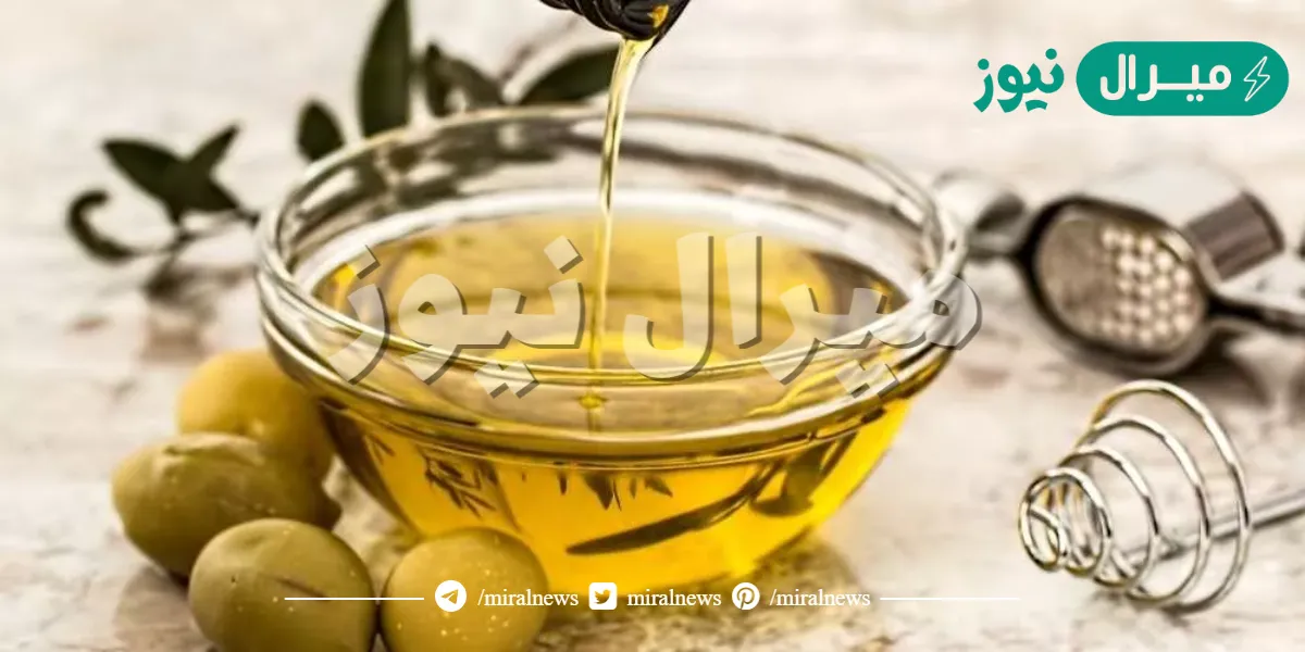 أهم فوائد الزيتون لجسم الانسان