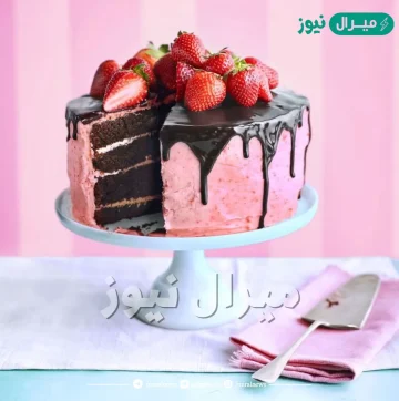 اشكال كيك عيد ميلاد للكبار جديدة