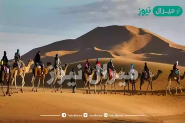 الرحيلي وش يرجع