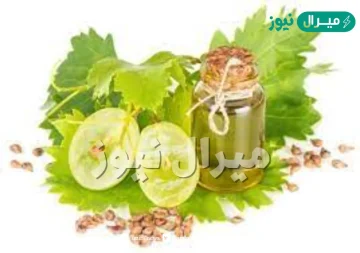 الفرق بين زيت بذور العنب الاصلي والتقليد