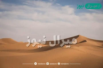 الفوزان وش يرجعون .. أصل عائلة الفوزان من وين