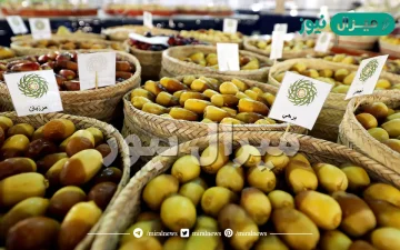 انواع الرطب في الامارات مع الصور