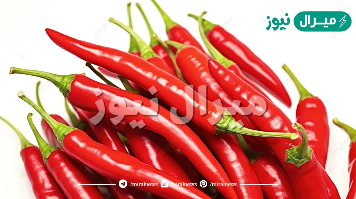 اهم فوائد الفلفل الحار