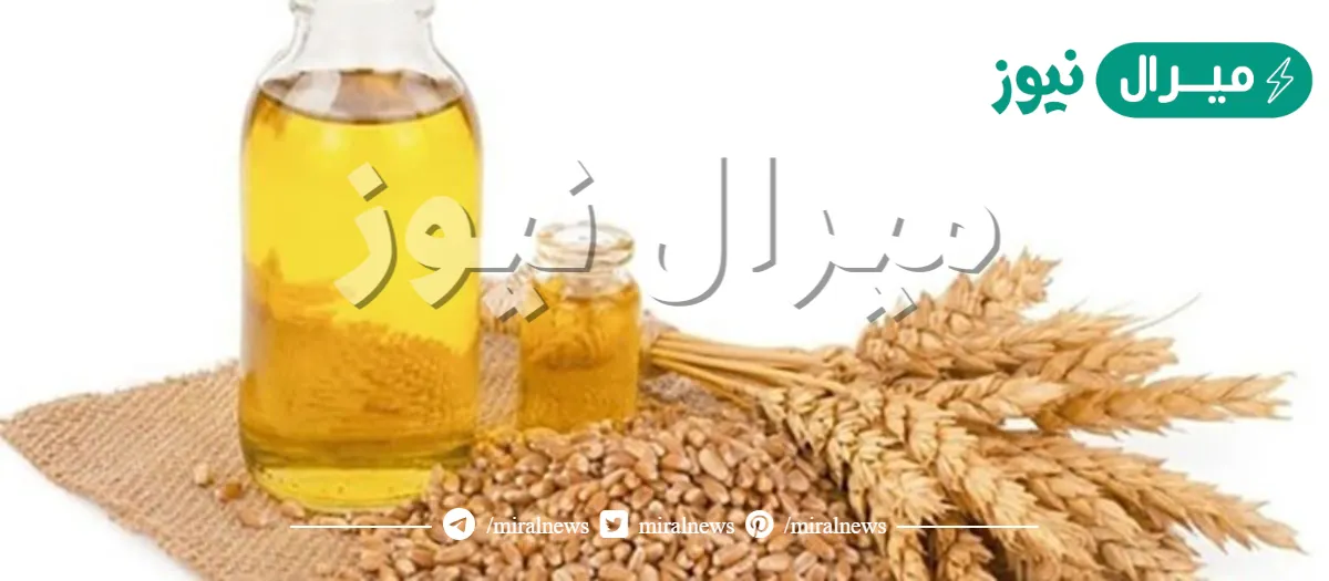 اهم فوائد زيت جنين القمح واضراره
