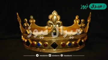 تفسير الحلم بأمير للعزباء في المنام لابن سيرين