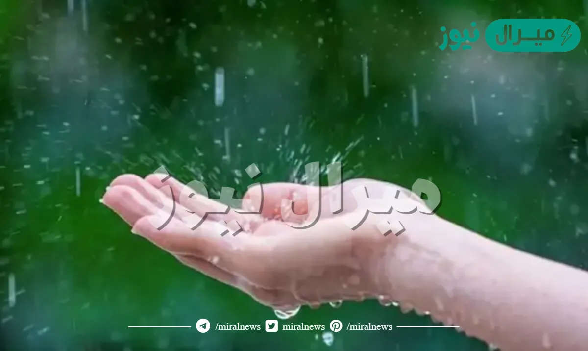 تفسير الحلم بالمطر في المنام للعزباء والمتزوجة والحامل