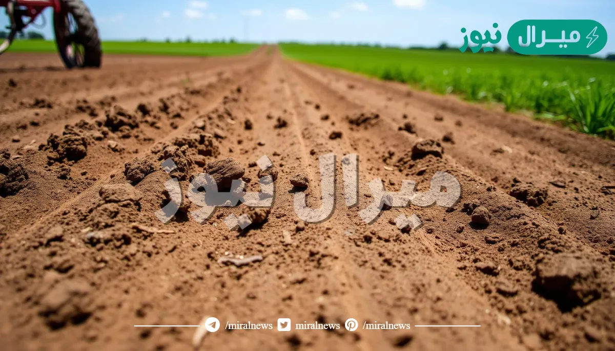 تفسير حلم الأرض المحروثة في المنام للعزباء والمتزوجة والرجل لابن سيرين
