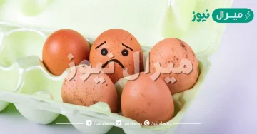 تفسير حلم البيض المسلوق الفاسد للعزباء