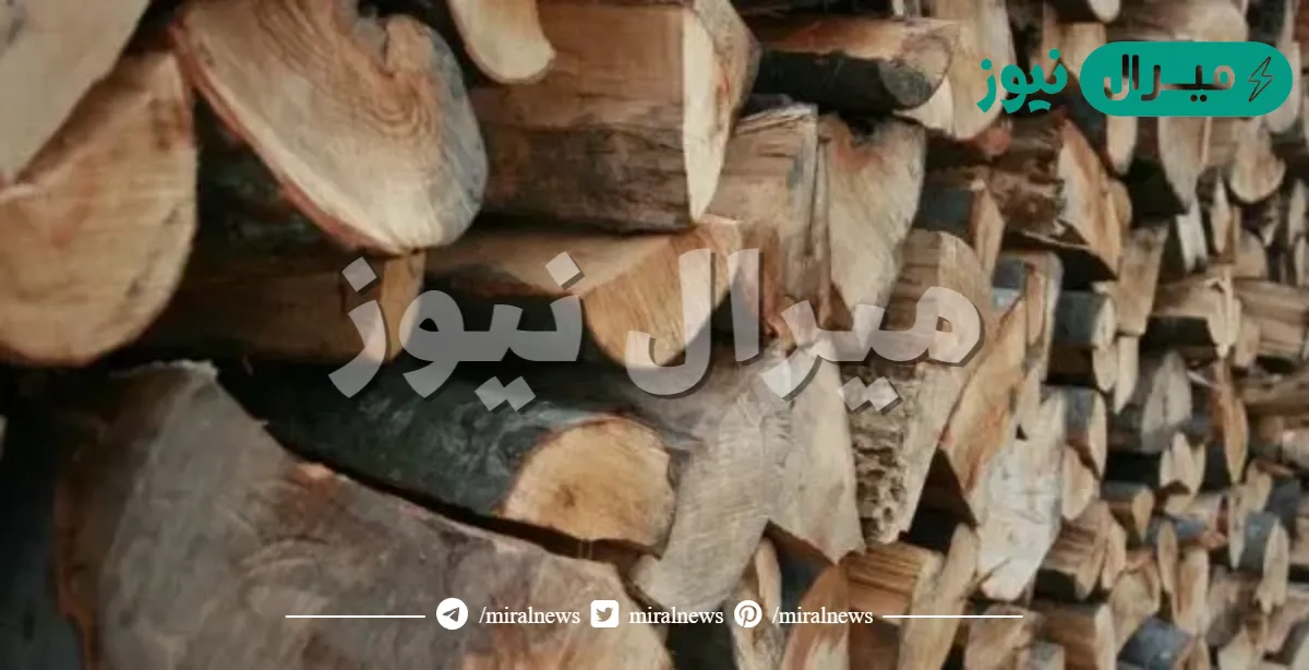 تفسير حلم الحطب للمتزوجه في منامها